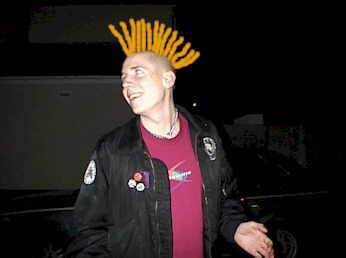 Punk2.jpg (53465 bytes)