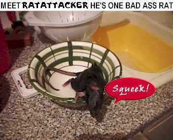 sn1a.jpg (92422 bytes)