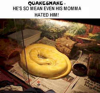 sn2a.jpg (40174 bytes)