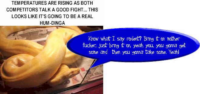 sn4a.jpg (124902 bytes)