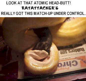 sn4b.jpg (33716 bytes)