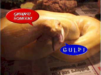 sn7a.jpg (70310 bytes)