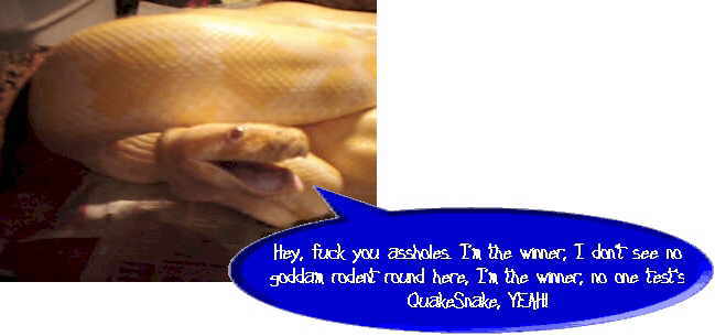 sn8a.jpg (102465 bytes)