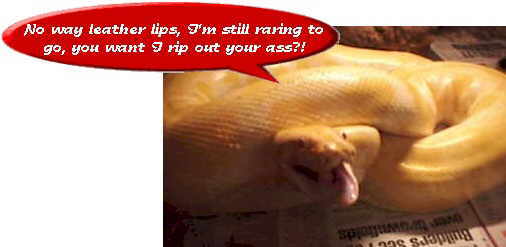 sn9a.jpg (84611 bytes)